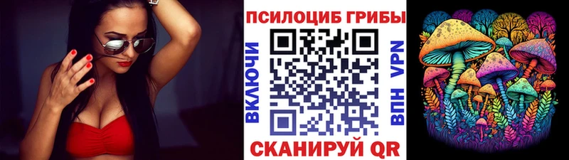 Купить где  Белокуриха  Псилоцибиновые грибы MAGIC MUSHROOMS 